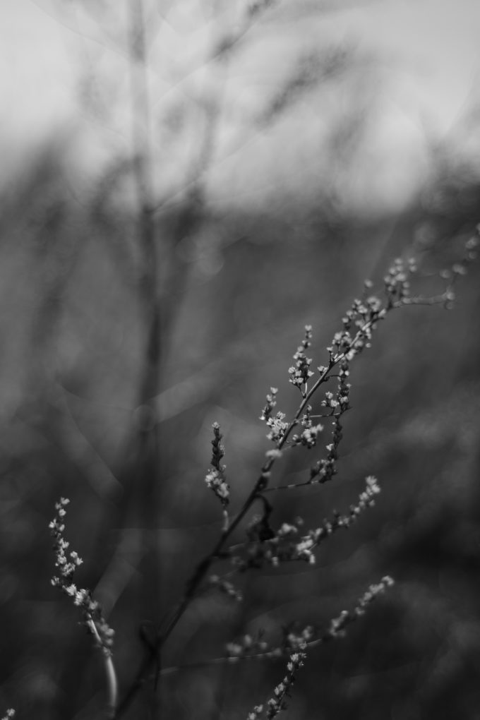 M3520-13.jpg